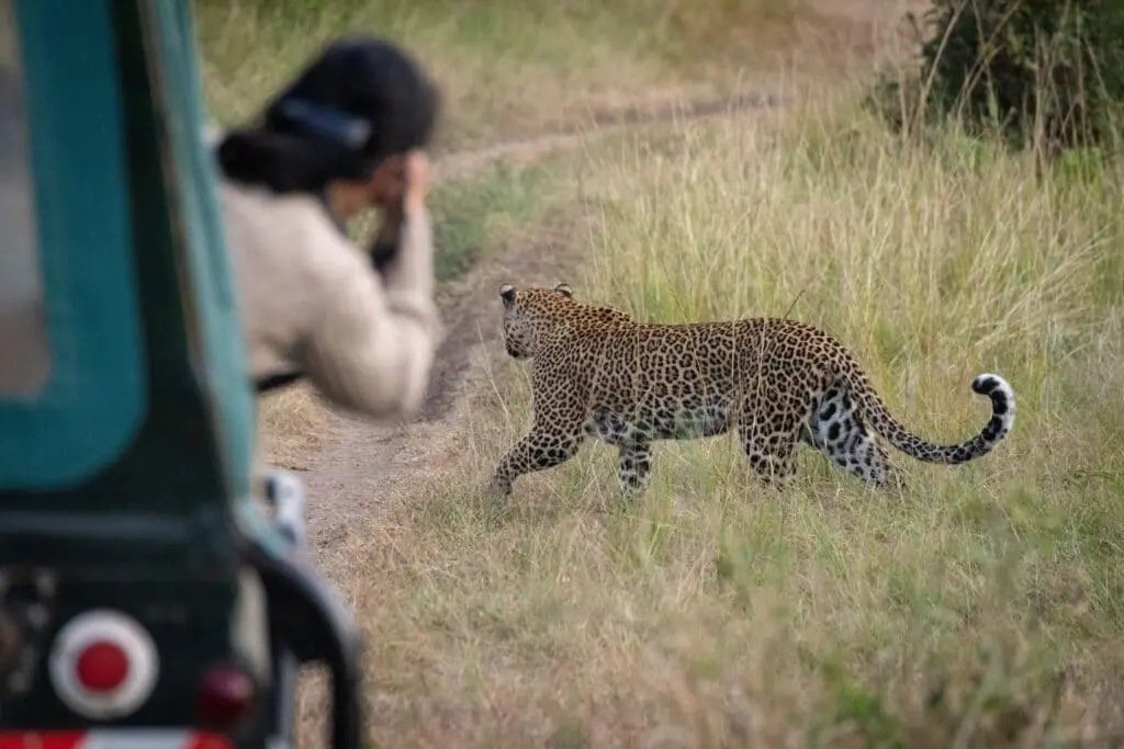 Jhalana vs Ranthambore comparison